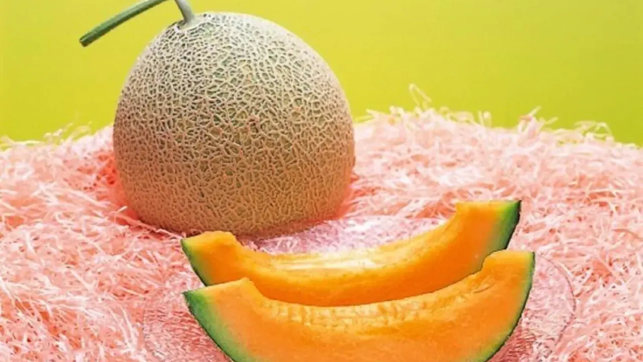 Cały melon i dwa kawałki soczystego, pomarańczowego miąższu na różowym tle. Czy to najdroższy owoc świata?