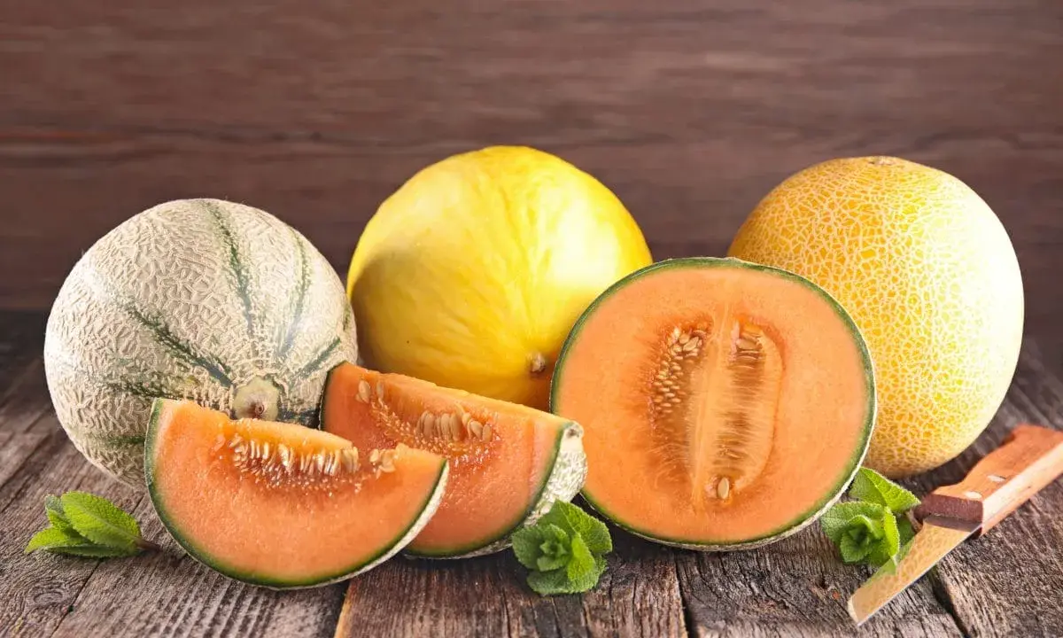 Kuszące plastry i połówka melona pomarańczowego w środku, obok innych melonów i listków mięty na drewnianym stole.