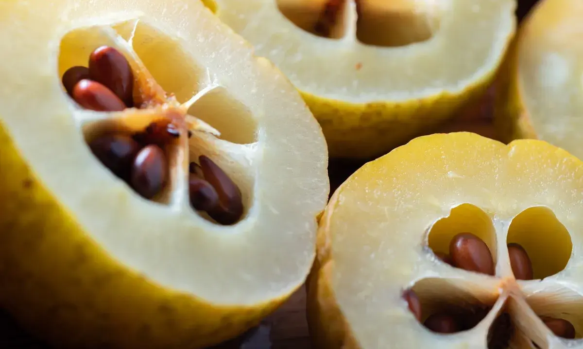 Przekrojone pigwy z brązowymi pestkami. Choć pigwa ma wiele zalet, warto pamiętać o potencjalnych skutkach ubocznych, np. pestki zawierają cyjanek.