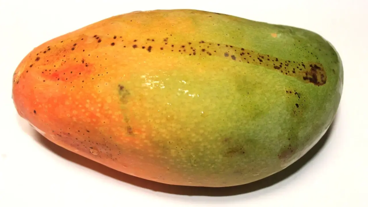 Soczyste mango, idealnie dojrzałe, z pomarańczowo-zieloną skórką i drobnymi plamkami.