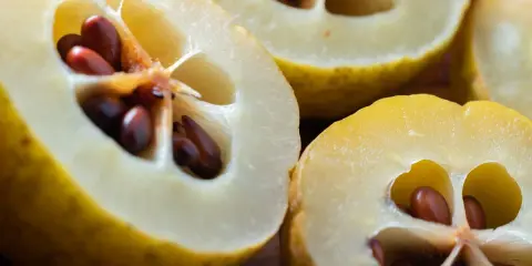 Przekrojone pigwy z brązowymi pestkami. Choć pigwa ma wiele zalet, warto pamiętać o potencjalnych skutkach ubocznych, np. pestki zawierają cyjanek.