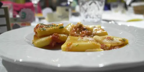Pyszny makaron paccheri w sosie pomidorowym, podany na białym talerzu.