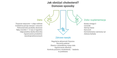 Jak obniżyć cholesterol? Dieta, zdrowe nawyki i zioła wspierają oczyszczanie wątroby.
