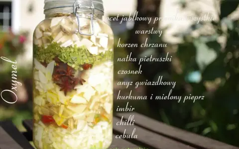 Słoik z warstwami składników do oxymelu: jabłko, chrzan, natka, czosnek, anyż, kurkuma, imbir, chilli, cebula.