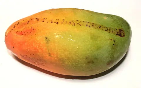 Soczyste mango, idealnie dojrzałe, z pomarańczowo-zieloną skórką i drobnymi plamkami.