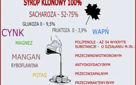 Syrop klonowy właściwości: zawiera cynk, magnez, mangan, potas, wapń, ryboflawinę. Polifenole o działaniu przeciwnowotworowym, antyoksydacyjnym, przeciwzapalnym i przeciwbakteryjnym.