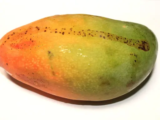 Soczyste mango, idealnie dojrzałe, z pomarańczowo-zieloną skórką i drobnymi plamkami.