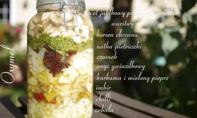 Słoik z warstwami składników do oxymelu: jabłko, chrzan, natka, czosnek, anyż, kurkuma, imbir, chilli, cebula.