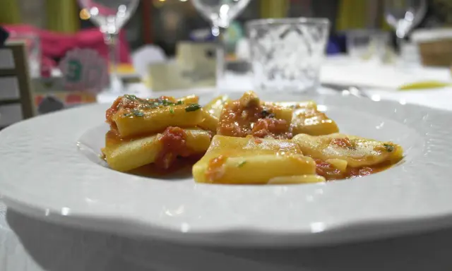 Pyszny makaron paccheri w sosie pomidorowym, podany na białym talerzu.