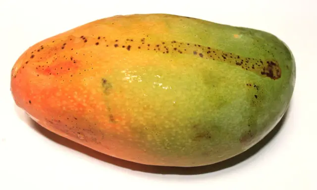 Soczyste mango, idealnie dojrzałe, z pomarańczowo-zieloną skórką i drobnymi plamkami.